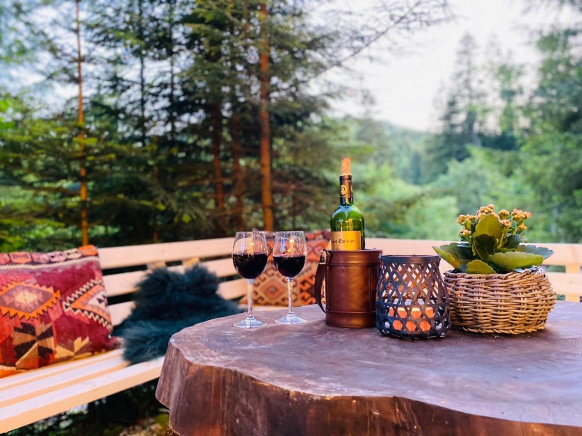 Roua Bucovinei Villa Sadova  Dış mekan fotoğraf