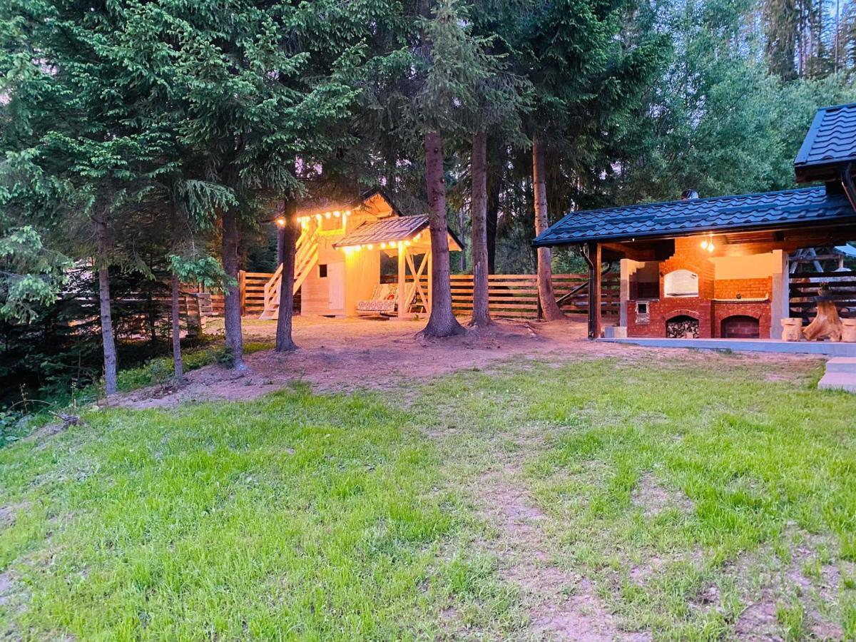 Roua Bucovinei Villa Sadova  Dış mekan fotoğraf
